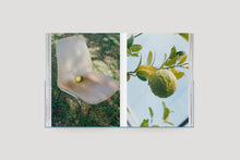 Load image into Gallery viewer, Kinfolk Islands