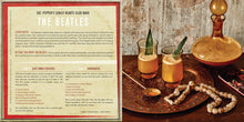 Load image into Gallery viewer, Booze &amp; Vinyl: A Spirited Guide to Great Music and Mixed Drinks 
