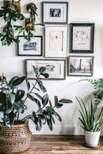 Load image into Gallery viewer, Wild Interiors: Beautiful Plants in Beautiful Spaces 
